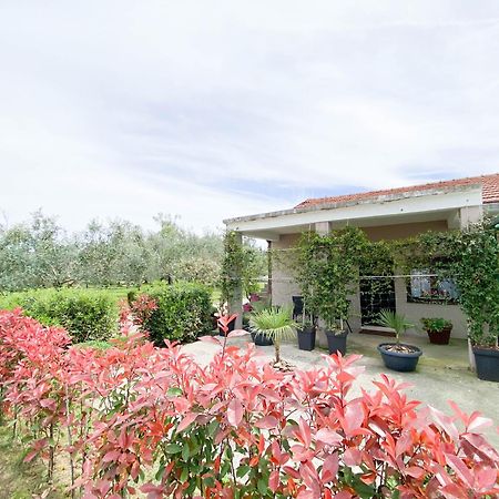 Olive Apartment Podgoriçe Dış mekan fotoğraf