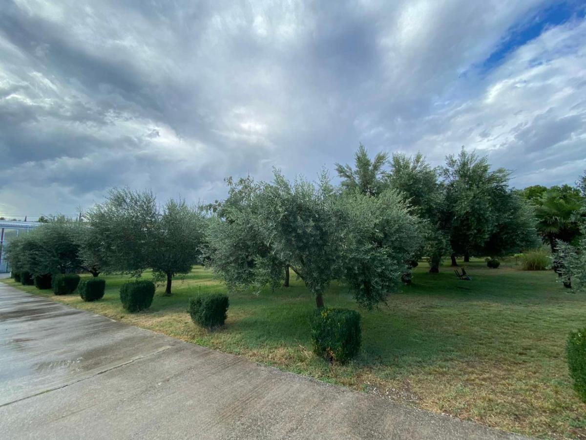 Olive Apartment Podgoriçe Dış mekan fotoğraf