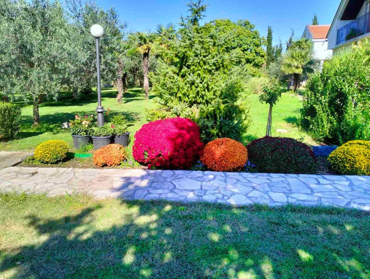 Olive Apartment Podgoriçe Dış mekan fotoğraf