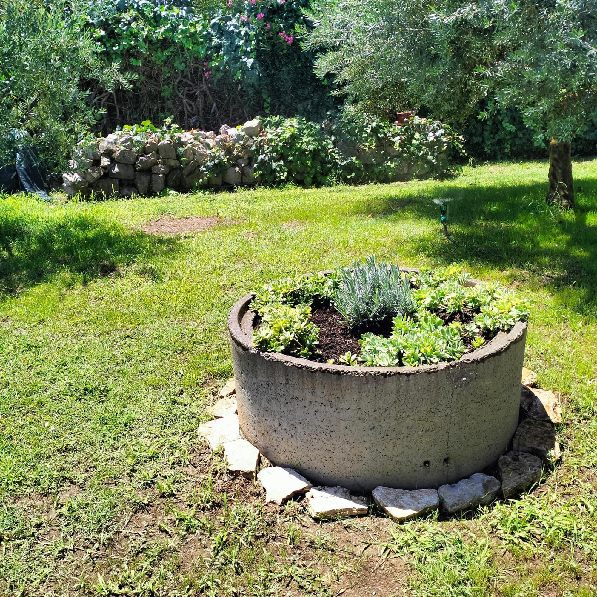 Olive Apartment Podgoriçe Dış mekan fotoğraf