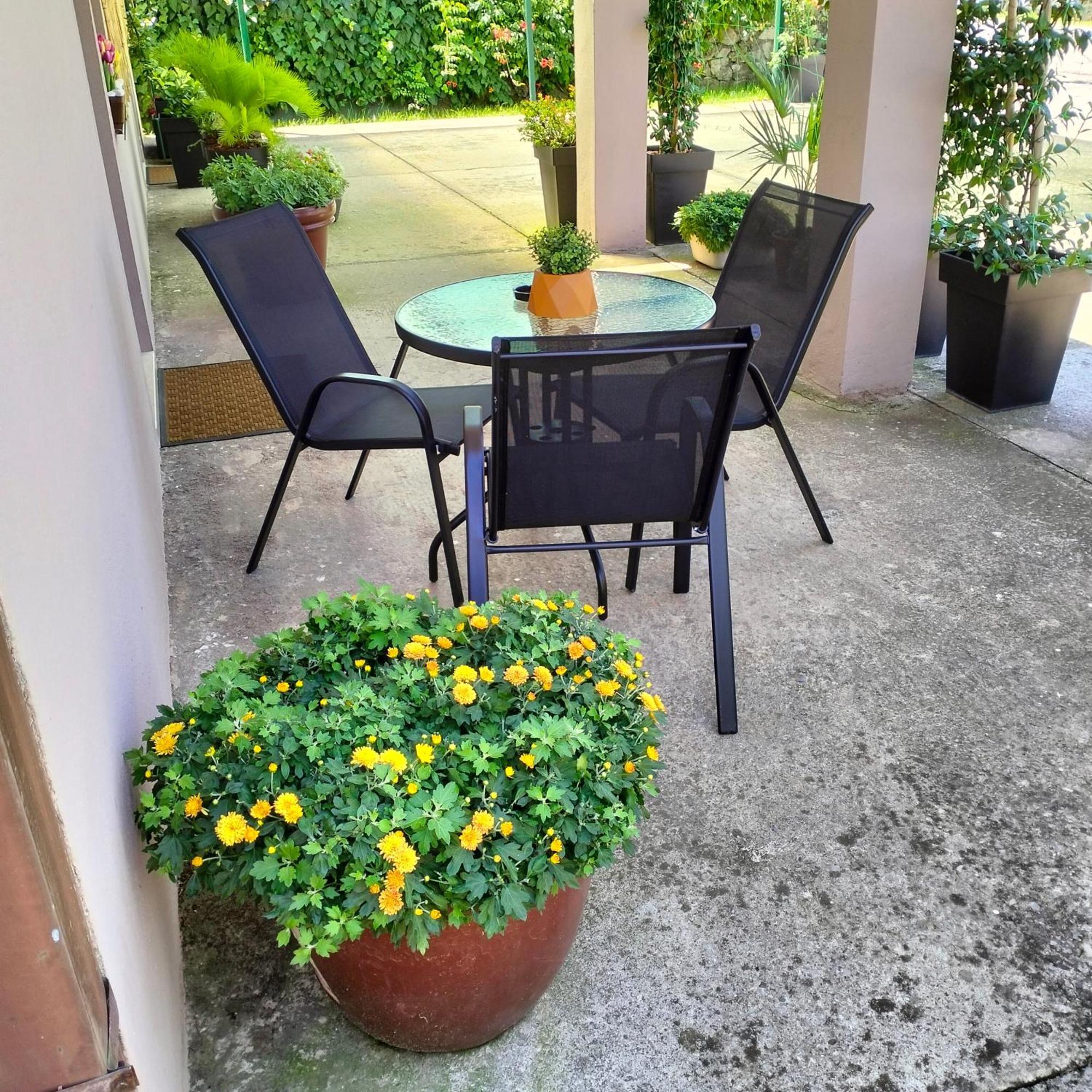 Olive Apartment Podgoriçe Dış mekan fotoğraf