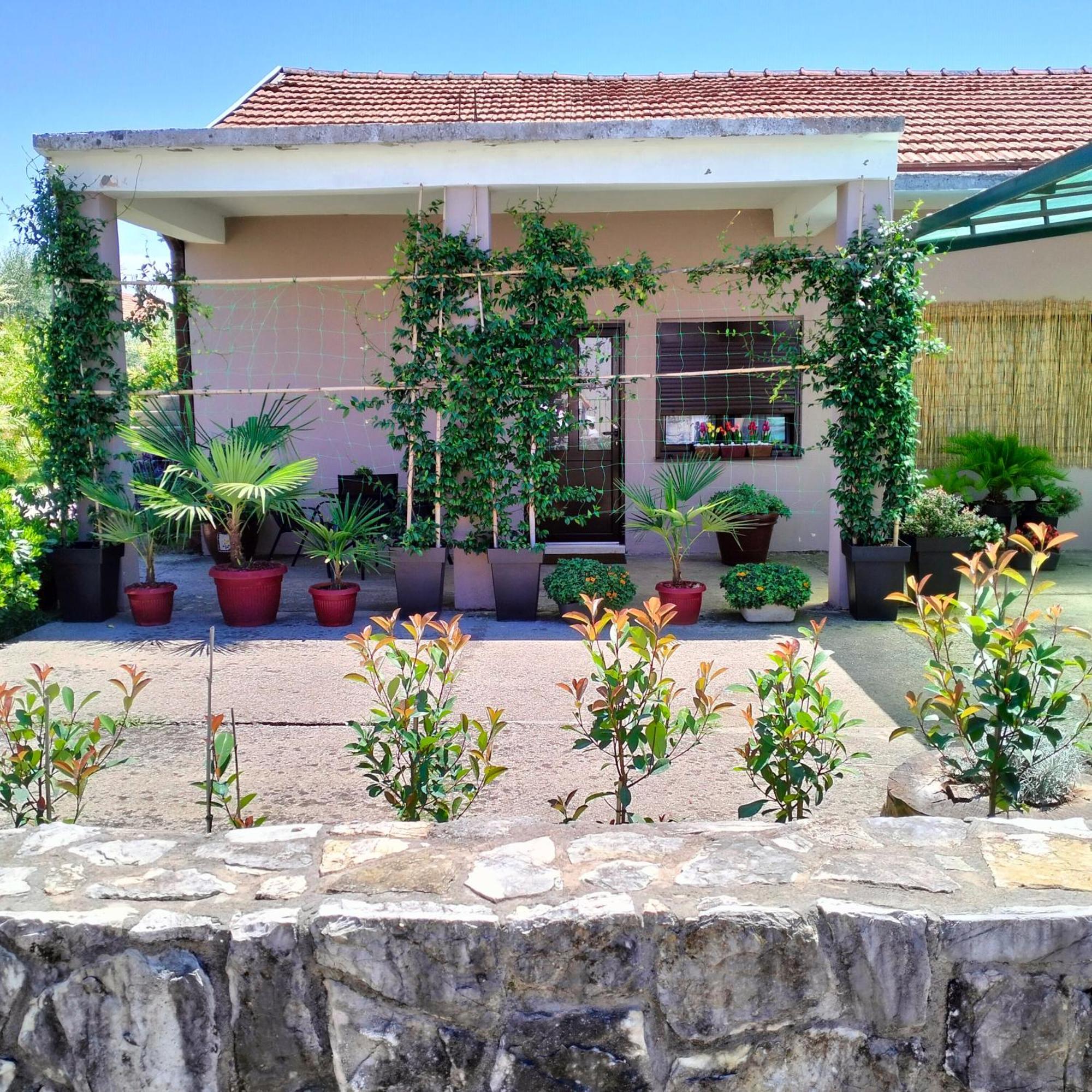 Olive Apartment Podgoriçe Dış mekan fotoğraf