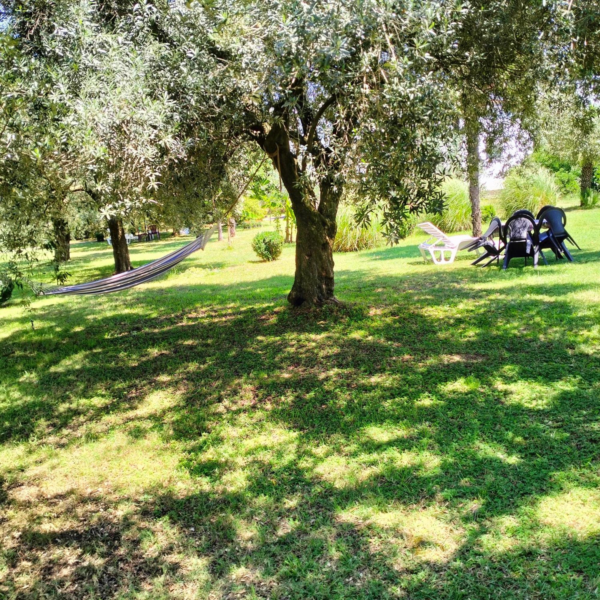Olive Apartment Podgoriçe Dış mekan fotoğraf