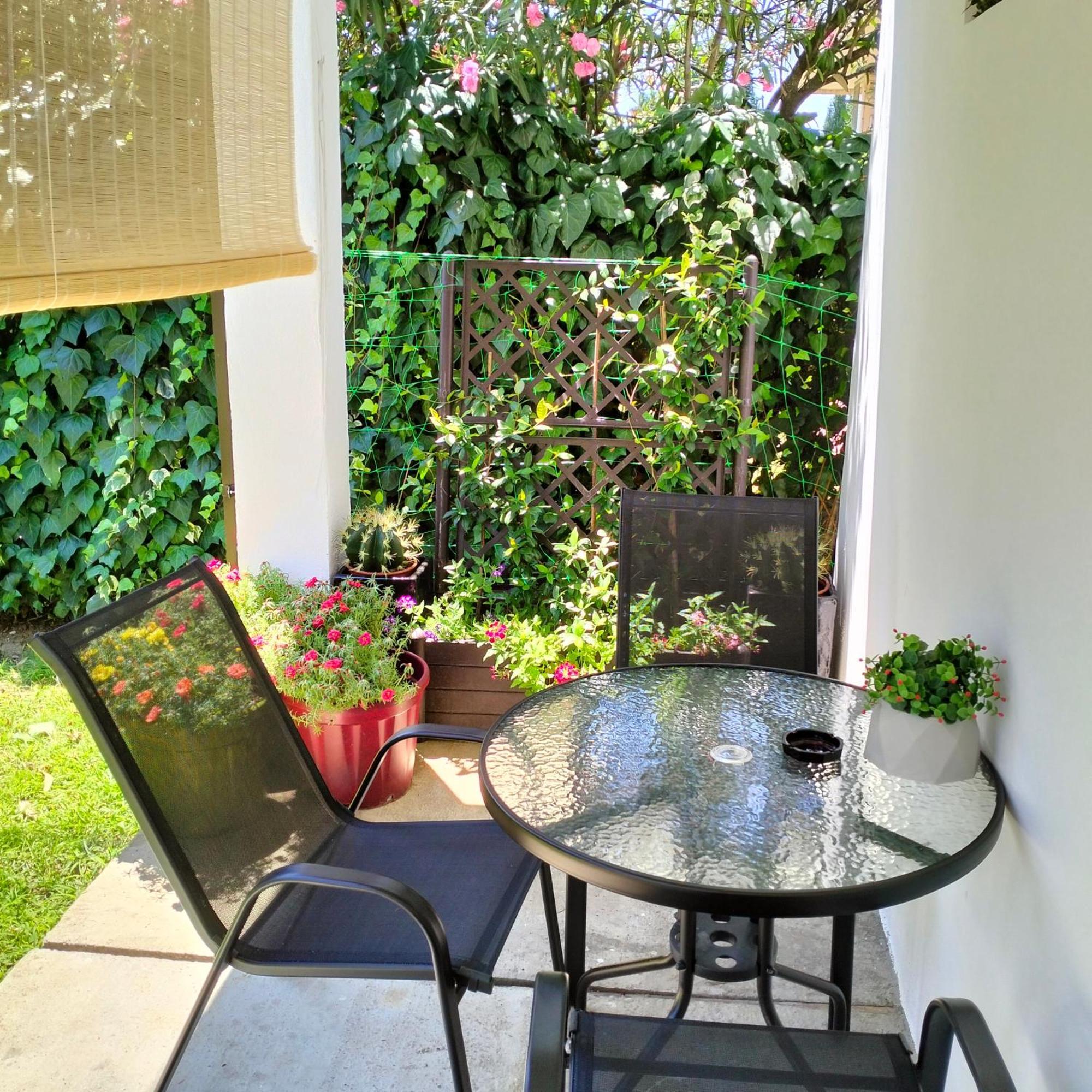 Olive Apartment Podgoriçe Dış mekan fotoğraf