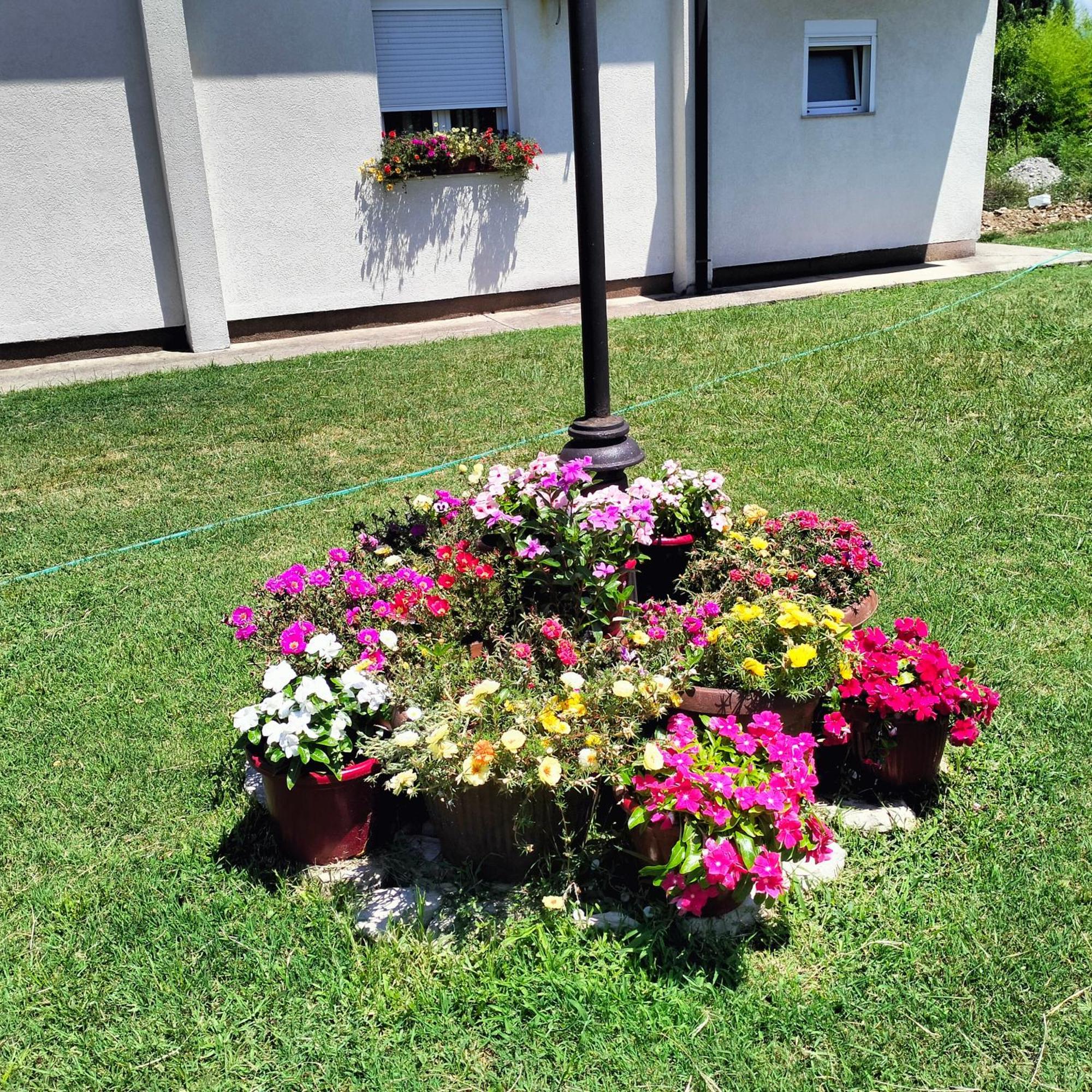 Olive Apartment Podgoriçe Dış mekan fotoğraf