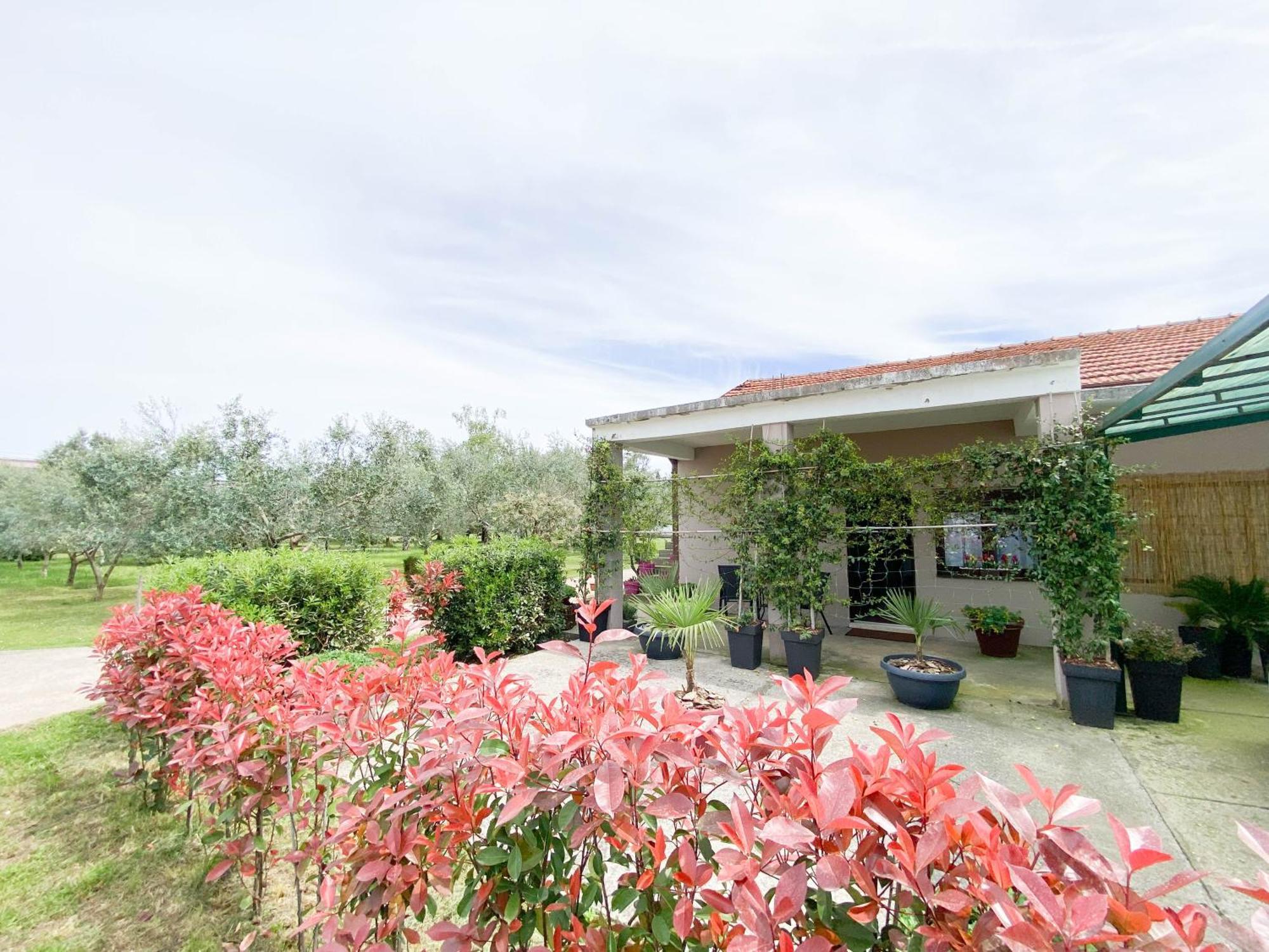 Olive Apartment Podgoriçe Dış mekan fotoğraf